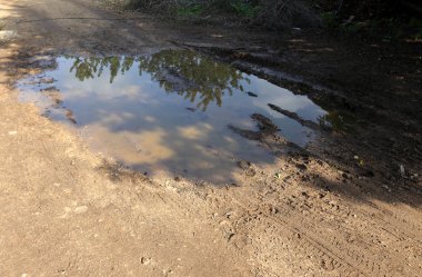 bitki ve su, karşı kıyıda bir görünümden yapılarda yansıması 