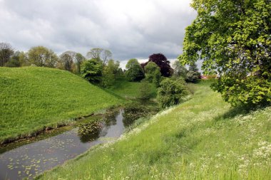 bitki ve su, karşı kıyıda bir görünümden yapılarda yansıması 