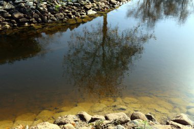 bitki ve su, karşı kıyıda bir görünümden yapılarda yansıması 