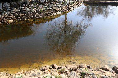 bitki ve su, karşı kıyıda bir görünümden yapılarda yansıması 