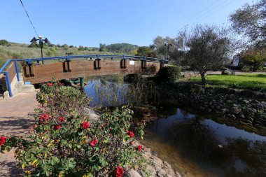 bitki ve su, karşı kıyıda bir görünümden yapılarda yansıması 