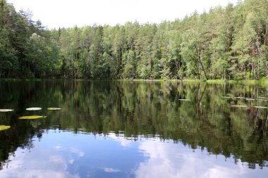 bitki ve su, karşı kıyıda bir görünümden yapılarda yansıması 
