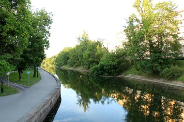 bitki ve su, karşı kıyıda bir görünümden yapılarda yansıması 