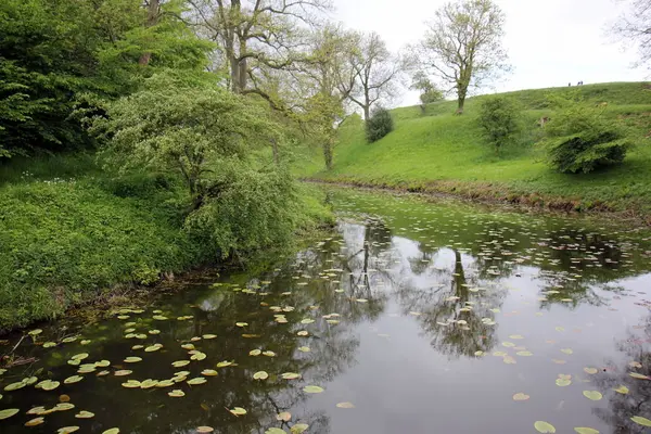 Reflexion Von Pflanzen Und Strukturen Wasser Blick Vom Gegenüberliegenden Ufer — Stockfoto