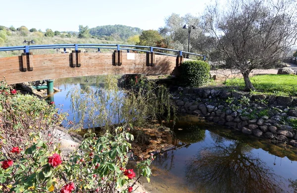 Reflexion Von Pflanzen Und Strukturen Wasser Blick Vom Gegenüberliegenden Ufer — Stockfoto