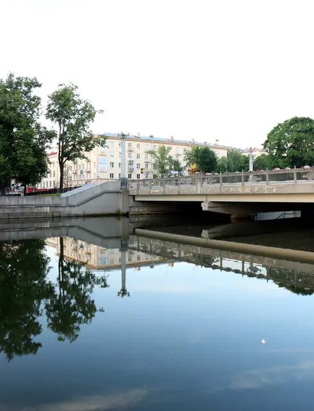 Reflektion Växter Och Strukturer Vattnet Från Motsatta Stranden — Stockfoto