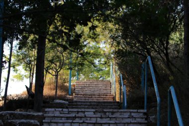 Merdiven adımlar bir dizi oluşur ve aşağı yukarı kaldırmak için hizmet vermektedir 