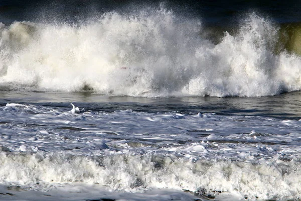 Surfing Riding Wave Special Light Boards Mediterranean Sea North Israel — Stock Photo, Image