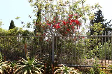 Çit - geçiş için yangın dolapları ve gates geçiş için başka bir bölgede, bir çit korumak için hizmet yapmak. 