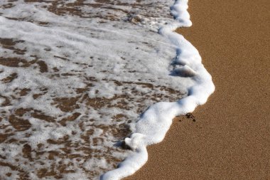 İsrail 'in kuzeyindeki Akdeniz kıyısında. 