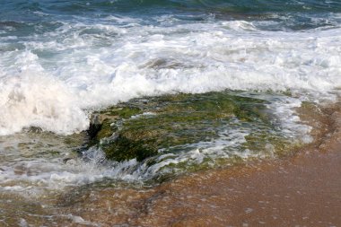 İsrail 'in kuzeyindeki Akdeniz kıyısında. 