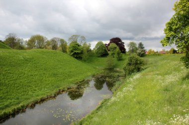 sonra yağmur güneş ve çiçekleri geliyor 