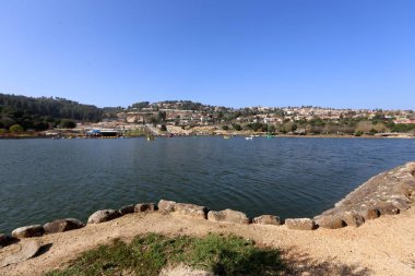 sonra yağmur güneş ve çiçekleri geliyor 