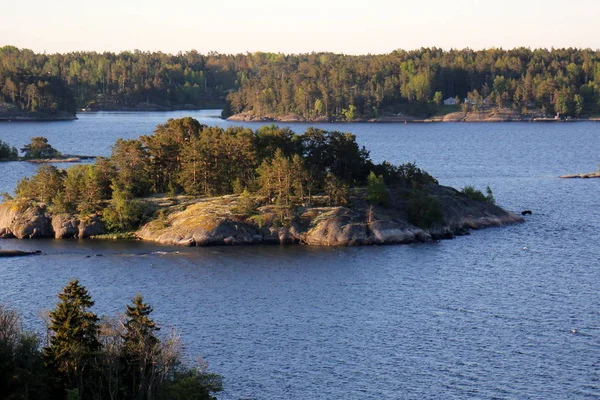 Efter Regn Kommer Sol Och Natur Blommorna — Stockfoto