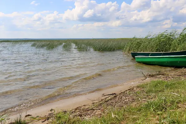 Після Дощу Сонце Природа Цвіте — стокове фото