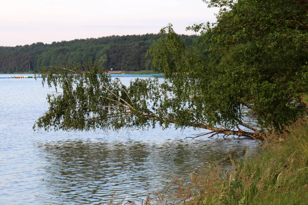 Nach Dem Regen Kommt Die Sonne Und Die Natur Erblüht — Stockfoto