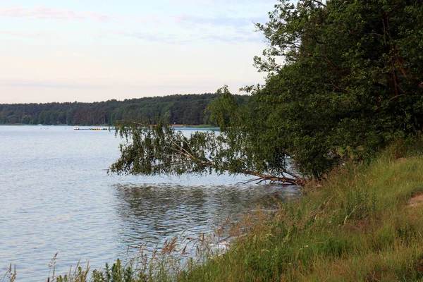 Deszczu Przychodzi Słońce Natura Kwiaty — Zdjęcie stockowe