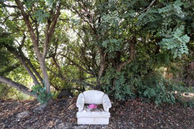 Sandalye - bir kişi, sırt ve koltuk ile oturduğum için tasarlanmış mobilya 