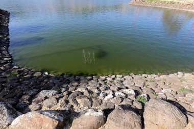 Kuzey İsrail ' Akdeniz'in kıyısında taş yalan 