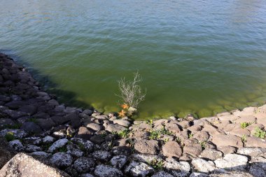 Kuzey İsrail ' Akdeniz'in kıyısında taş yalan 