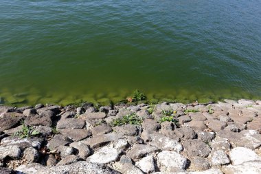 Kuzey İsrail ' Akdeniz'in kıyısında taş yalan 