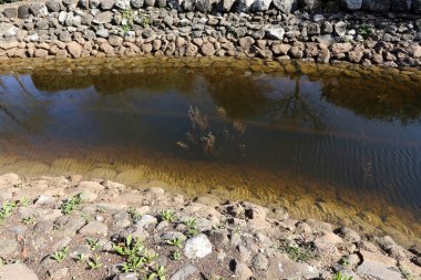 Kuzey İsrail ' Akdeniz'in kıyısında taş yalan 