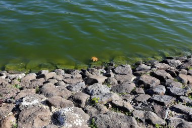 Kuzey İsrail ' Akdeniz'in kıyısında taş yalan 