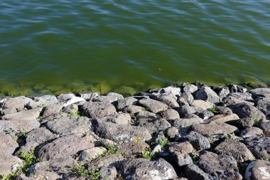 Kuzey İsrail ' Akdeniz'in kıyısında taş yalan 