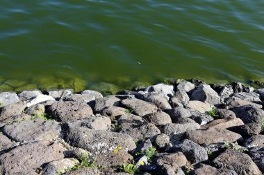 Kuzey İsrail ' Akdeniz'in kıyısında taş yalan 