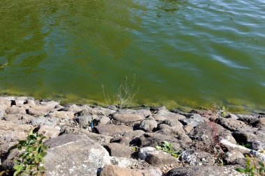 Kuzey İsrail ' Akdeniz'in kıyısında taş yalan 