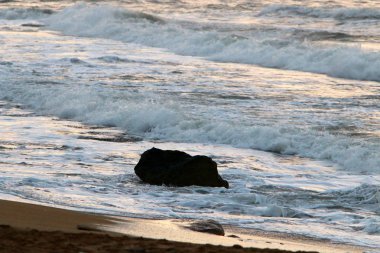 Kuzey İsrail ' Akdeniz'in kıyısında taş yalan 