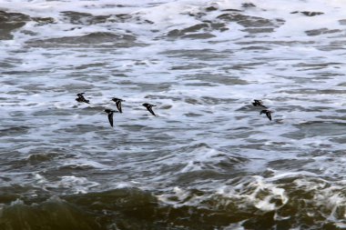Akdeniz sahil İsrail kapalı fırtınası 