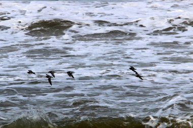 Akdeniz sahil İsrail kapalı fırtınası 