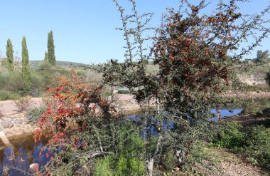 doğanın güzelliği görmek için bir yakından yaklaşım gerekir 