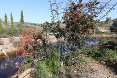 doğanın güzelliği görmek için bir yakından yaklaşım gerekir 
