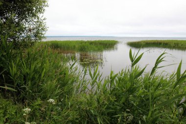 doğanın güzelliği görmek için bir yakından yaklaşım gerekir 