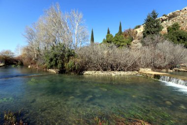 İsrail yakın çekim kuzeyinde doğanın fotoğraf 