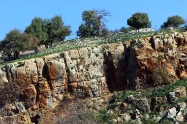 İsrail yakın çekim kuzeyinde doğanın fotoğraf 