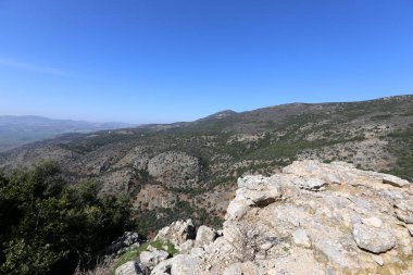 İsrail yakın çekim kuzeyinde doğanın fotoğraf 