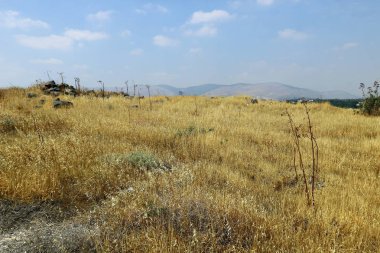 İsrail yakın çekim kuzeyinde doğanın fotoğraf 