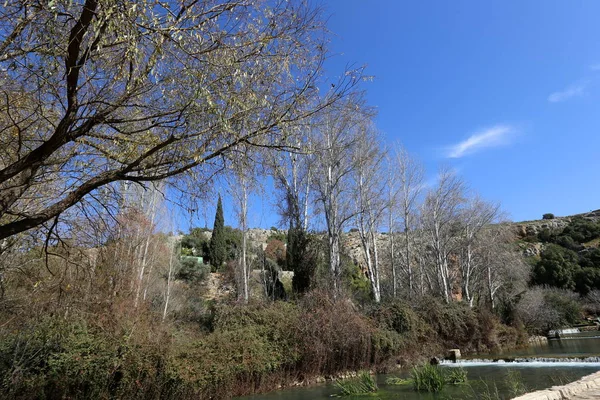 İsrail yakın çekim kuzeyinde doğanın fotoğraf 