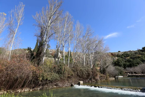 Foto Naturaleza Del Norte Israel Cerca — Foto de Stock