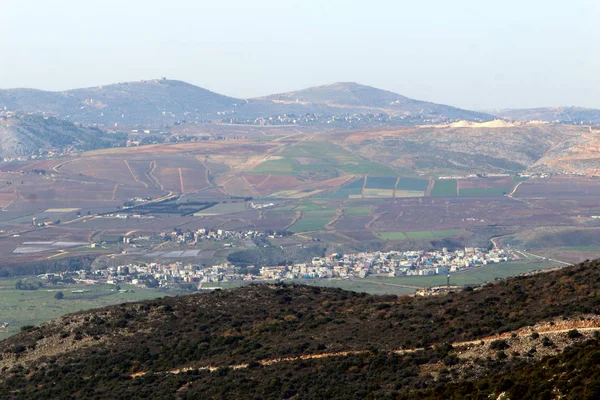 Srail Yakın Çekim Kuzeyinde Doğanın Fotoğraf — Stok fotoğraf