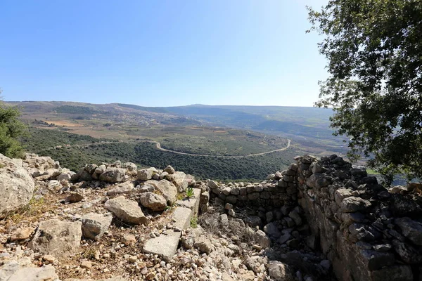 Foto Van Aard Van Het Noorden Van Israël Close — Stockfoto