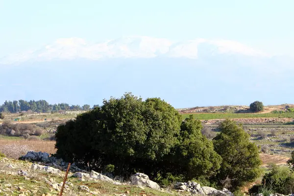 Monte Hermon Montanha Mais Alta Israel Único Lugar Onde Você — Fotografia de Stock