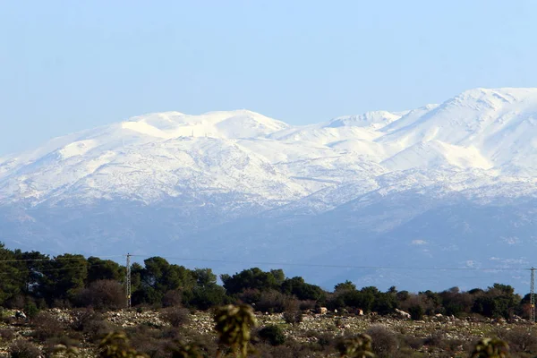 Monte Hermón Montaña Más Alta Israel Único Lugar Donde Puede —  Fotos de Stock