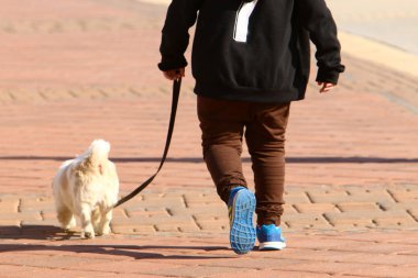 Yan veya caddenin yanında bulunan kaldırım - patika, 
