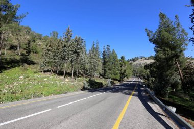 Yol uzak ufuk ötesine gider 