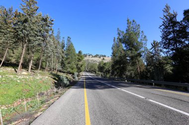 Yol uzak ufuk ötesine gider 