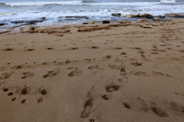 Akdeniz 'in kıyılarında, kuma ayak izleri 